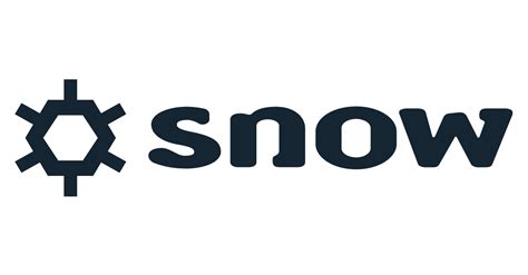 snow software competitors|Snow Software: Revenue, Worth, Valuation & Competitors 2024